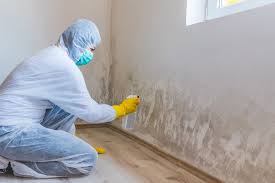 Best Mold Remediation for Healthcare Facilities  in Powdersville, SC