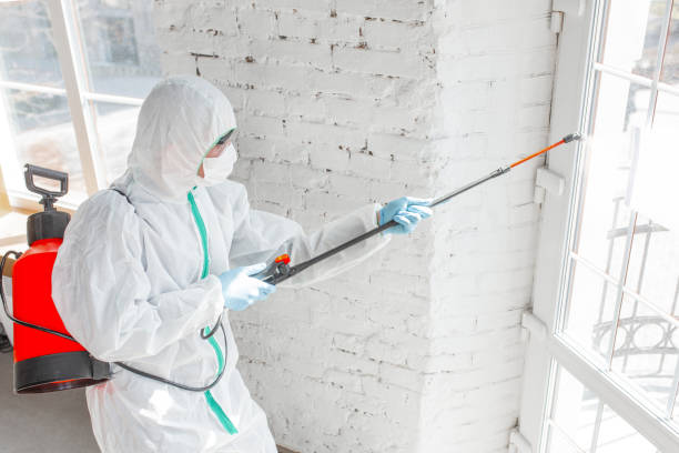 Best Residential Mold Inspection & Testing  in Powdersville, SC