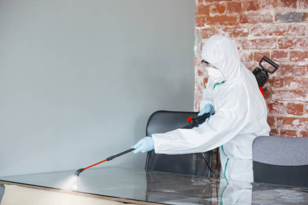 Forensic Mold Investigation in Powdersville, SC